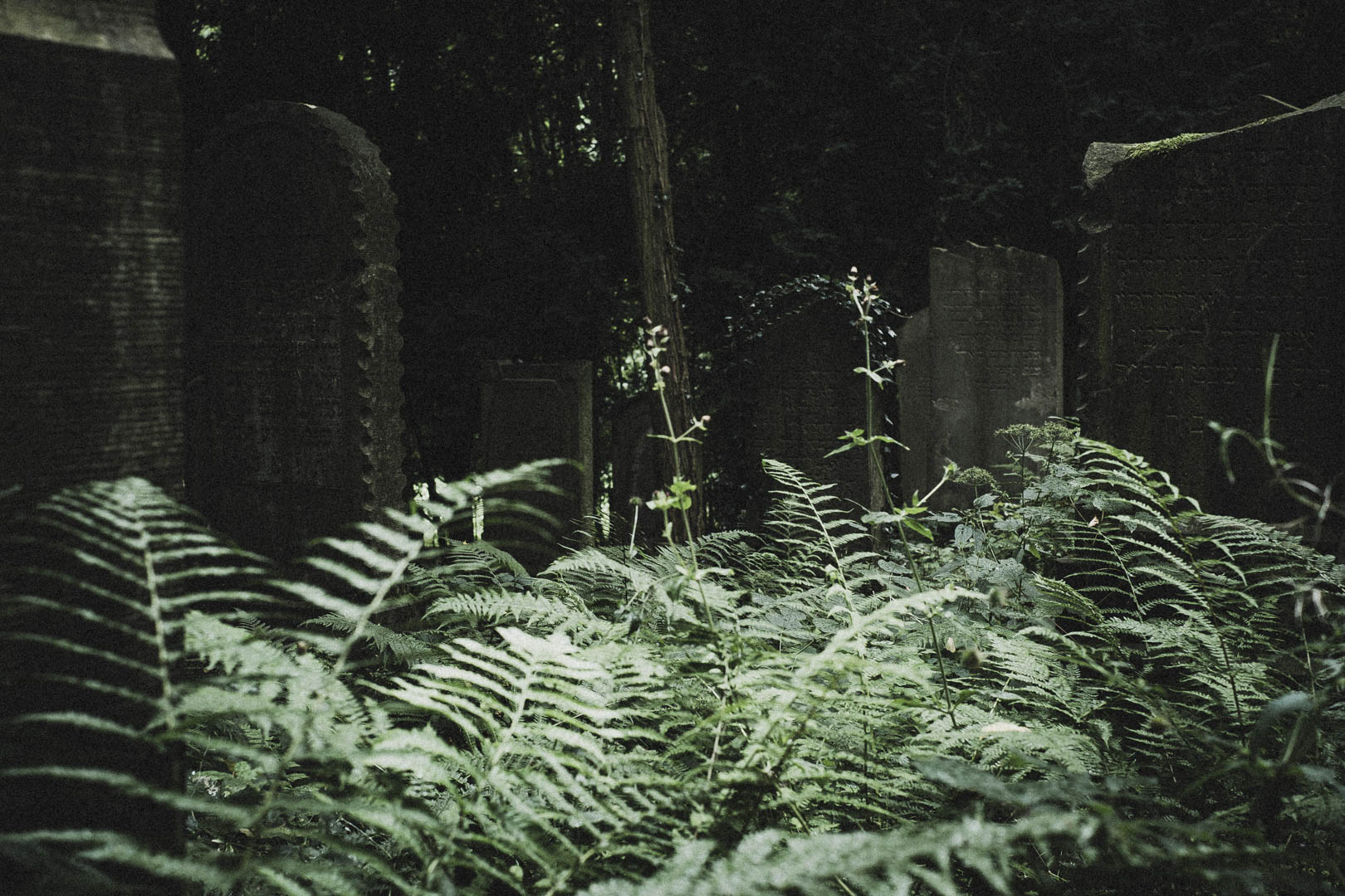 Obernkirchen, Jüdischer Friedhof